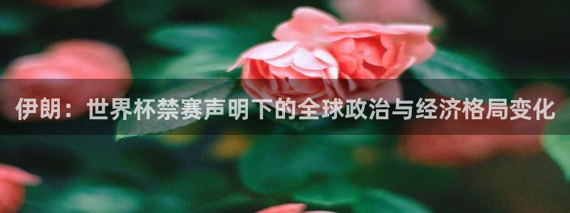 免费足球比赛直播高清:伊朗:世界杯禁赛声明下的全球政治与经济格局变化