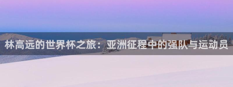 世界杯比赛直播:林高远的世界杯之旅:亚洲征程中的强队与运动员