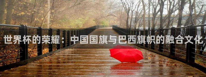 世界杯欧洲预选赛赛程:世界杯的荣耀:中国国旗与巴西旗帜的融合文化