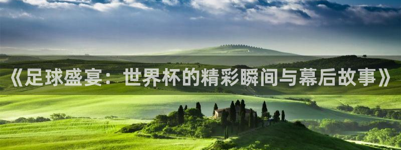 世界杯预选赛2026:《足球盛宴:世界杯的精彩瞬间与幕后故事》