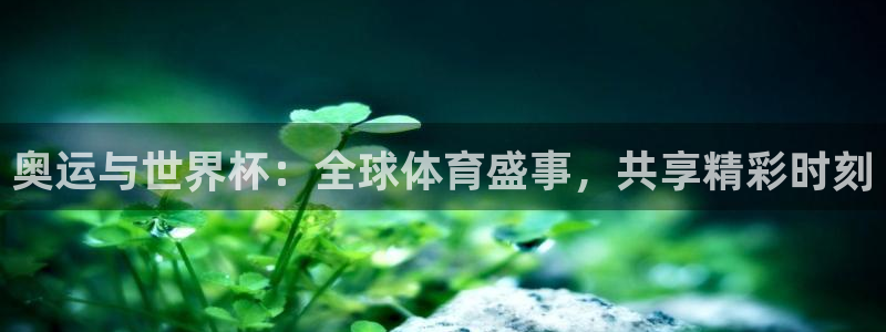 世界杯预选赛排名:奥运与世界杯:全球体育盛事,共享精彩时刻