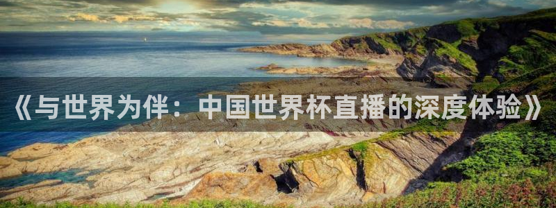 世界杯预选赛亚洲:《与世界为伴:中国世界杯直播的深度体验》