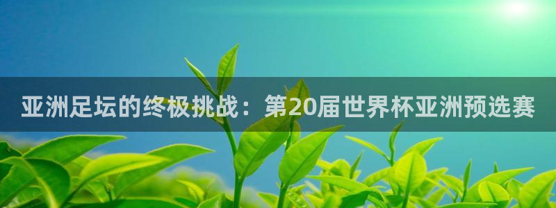 世界杯预选赛亚洲:亚洲足坛的终极挑战:第20届世界杯亚洲预选赛