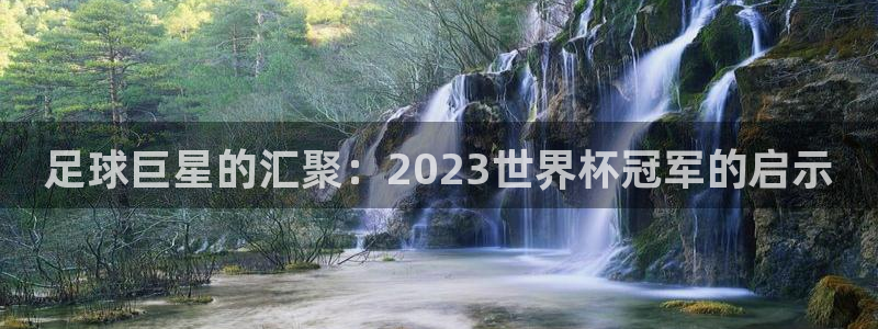 世界杯球队:足球巨星的汇聚:2023世界杯冠军的启示